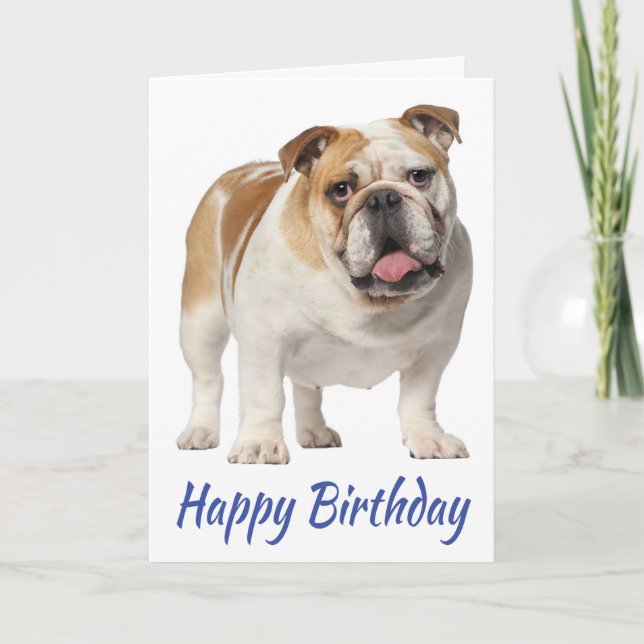 Cute Puppy Dog English Bulldog Birthday Card (Front)