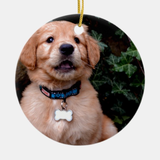 Cute puppy dog Golden Retriever Puppy Ceramic Ornament (Front)