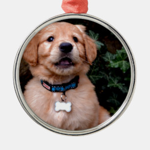 Cute puppy dog Golden Retriever Puppy Metal Ornament