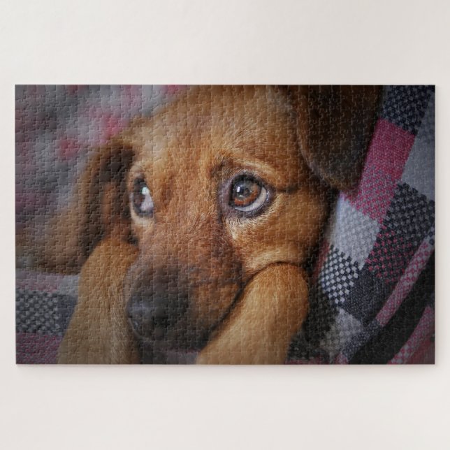 Cute Puppy Dog Jigsaw Puzzle (Horizontal)
