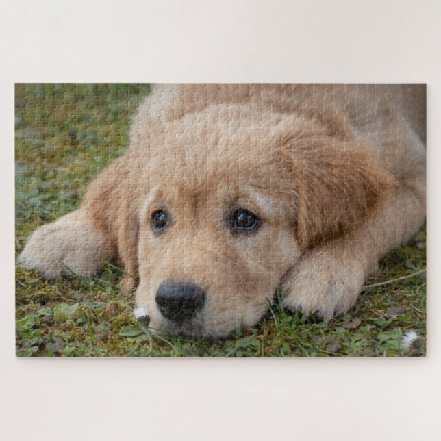 Cute Puppy Dog Jigsaw Puzzle (Horizontal)