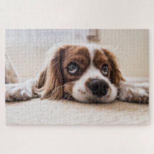 Cute Puppy Dog Jigsaw Puzzle