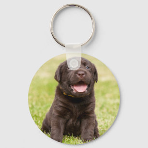 Cute puppy dog keychain