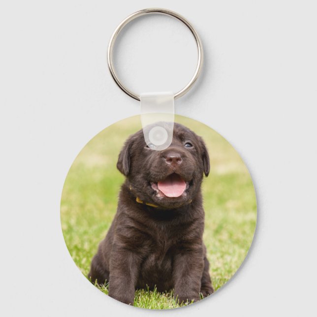 Cute puppy dog keychain (Front)
