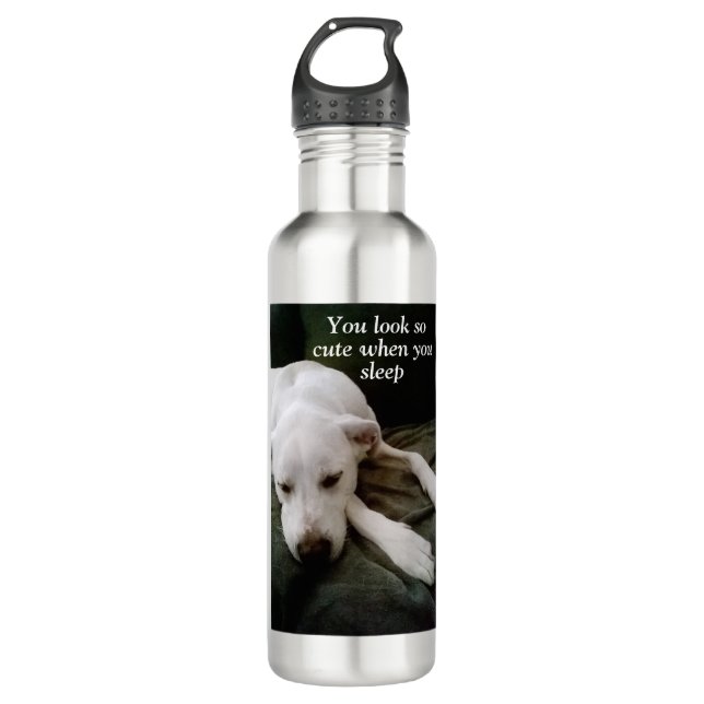 Cute Puppy Dog Looks Pretty While Slumbering 710 Ml Water Bottle (Front)