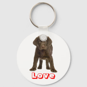 Cute Puppy Dog Love Chocolate Labrador Retriever  Keychain
