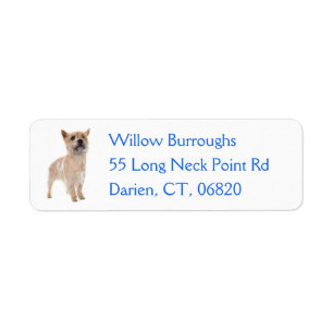 Cute Puppy Dog Lover Cairn Terrier
