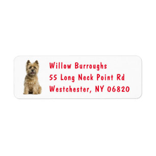 Cute Puppy Dog Lover Cairn Terrier