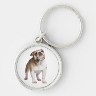 Cute Puppy Dog Lover Gift English Bulldog Keychai Keychain