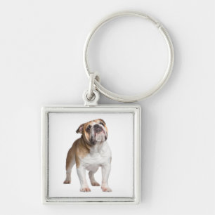 Cute Puppy Dog Lover Gift English Bulldog Keychain