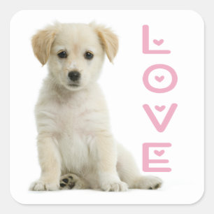 Cute Puppy Dog Lover Golden Retriever Square Sticker
