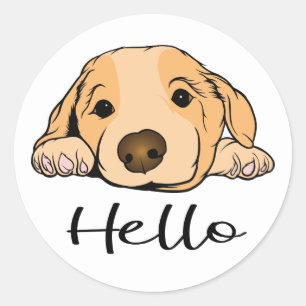 Cute Puppy Dog Lover Hello Golden Retriever Classic Round Sticker
