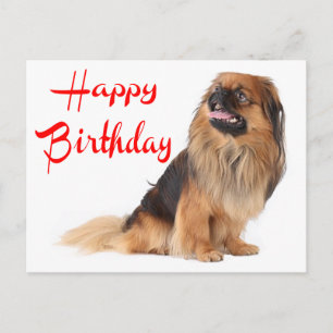 Cute Puppy Dog Lover Pekinese Birthday Postcard