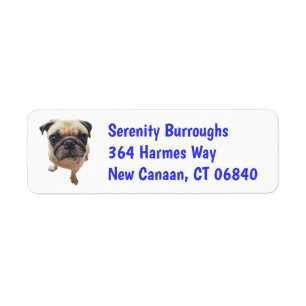 Cute Puppy Dog Lover Rescue Mom Funny Pug