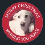 Cute Puppy Dog Merry Christmas Peace Red Classic Round Sticker<br><div class="desc">This adorable sticker features a photo of Olive,  a cute Labrador mix and customizable greeting.</div>