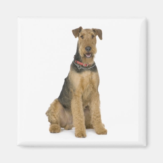 Cute Puppy Dog Mom Dog Lover Airedale Terrier Magnet (Front)
