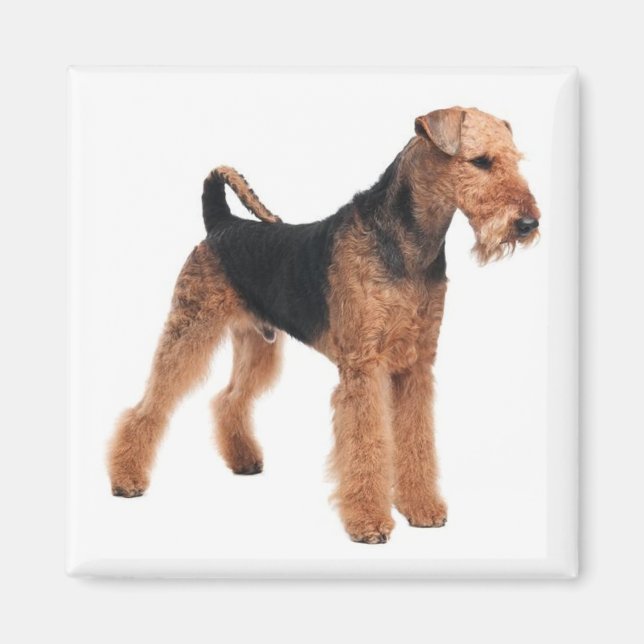 Cute Puppy Dog Mom Dog Lover Airedale Terrier Magnet (Front)