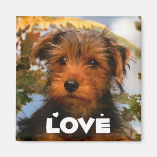 Cute Puppy Dog Mom Dog Lover Airedale Terrier Magnet