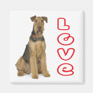 Cute Puppy Dog Mom Dog Lover Airedale Terrier Magnet