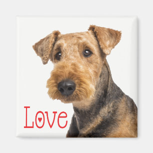 Cute Puppy Dog Mom Dog Lover Airedale Terrier Magnet