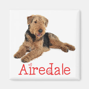 Cute Puppy Dog Mom Dog Lover Airedale Terrier Magnet