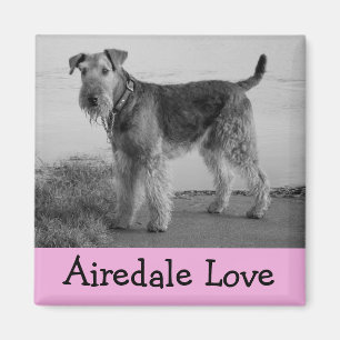 Cute Puppy Dog Mom Dog Lover Airedale Terrier Magnet