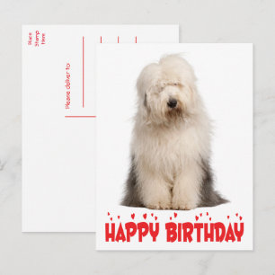 Cute Puppy Dog Old English Sheepdog Birthday Post Postcard