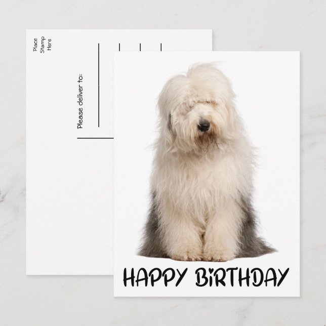 Cute Puppy Dog Old English Sheepdog Birthday Postcard (Front/Back)