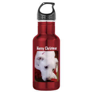 Cute Puppy Dog Photo Christmas Red 532 Ml Water Bottle