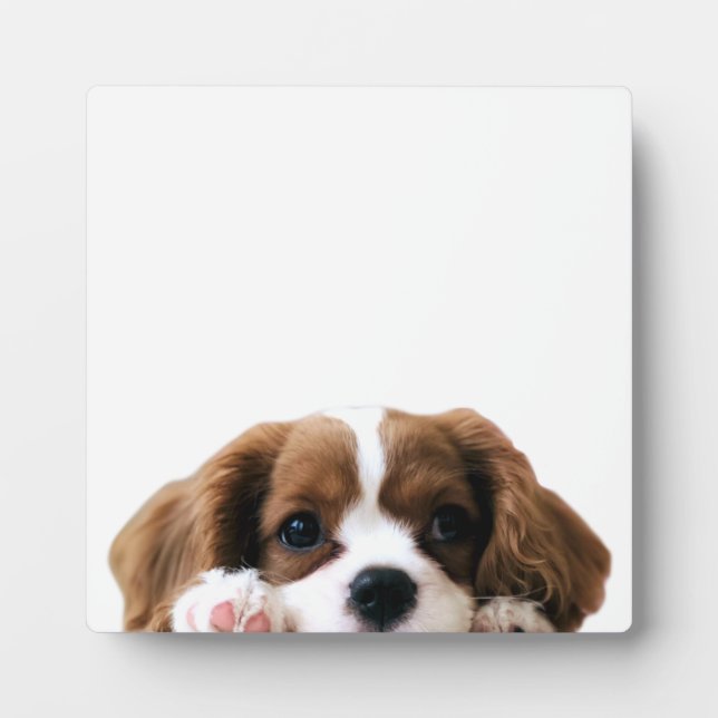 Cute Puppy Dog Photo Plaque (Front)