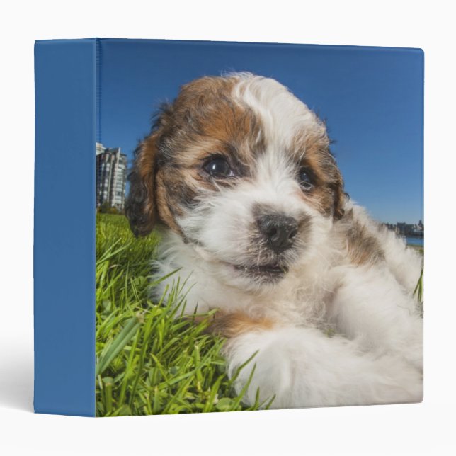 Cute puppy dog (Shitzu) Binder (Front/Spine)