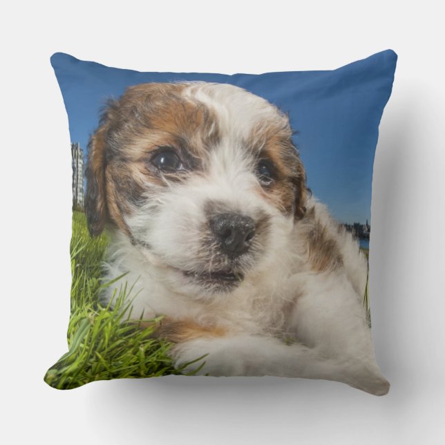 Cute puppy dog (Shitzu) Throw Pillow (Front)