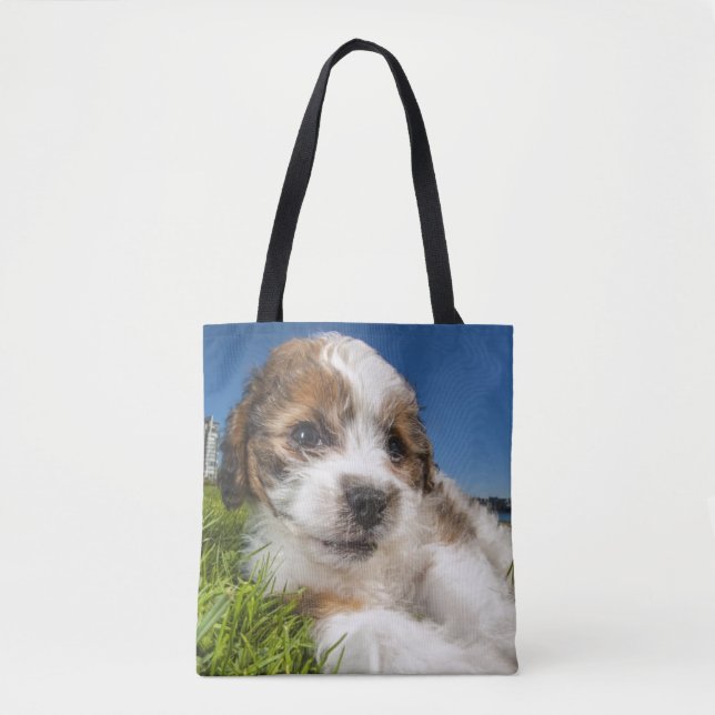 Cute puppy dog (Shitzu) Tote Bag (Front)