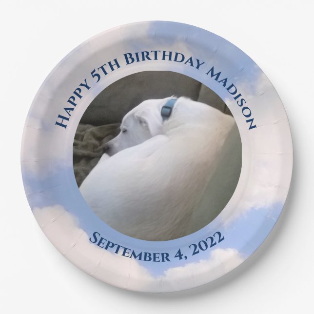 Cute Puppy Dog Sleeping Blue Sky 5th Birthday Paper Plate (Front)