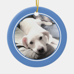 Cute Puppy Dog with Dad Round Blue Ceramic Ornament