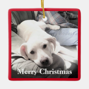 Cute Puppy Dog with Dad Square Red and Green Ceramic Ornament