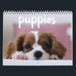 Cute Puppy Dogs Calendar<br><div class="desc">Cute puppy dogs not just to brighten your day,  but for your whole year. Pin this calendar in your office,  dorm,  home,  kitchen,  anywhere that will make you smile.</div>