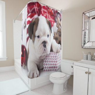 Cute Puppy English Bulldog | Funny Christmas