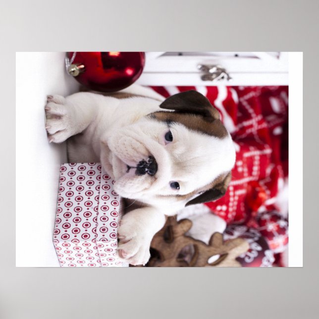 Cute Puppy English Bulldog | Funny Christmas Poster (Front)