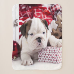Cute Puppy English Bulldog Funny Christmas Sherpa Blanket