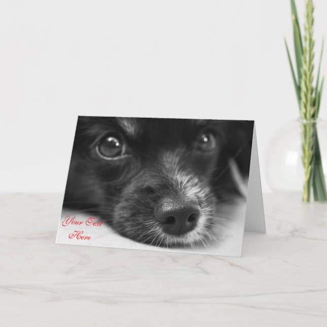 Cute Puppy Face Custom Valentine Card (Front)
