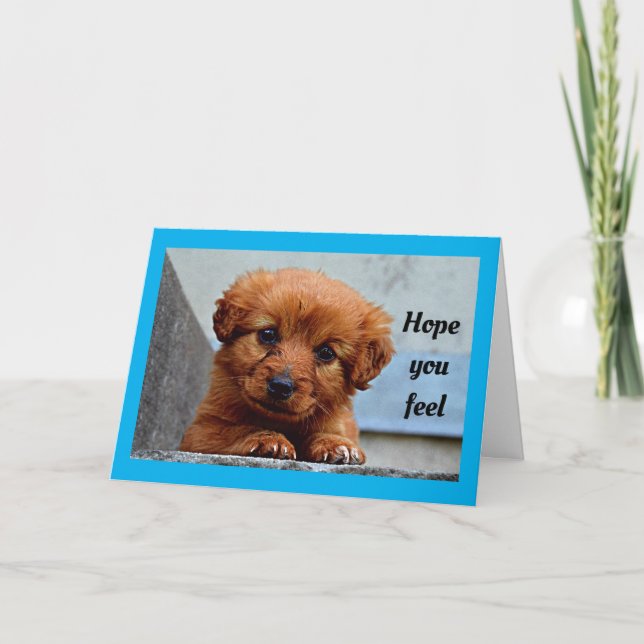 Cute Puppy Get Well Card (Front)