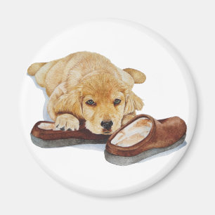 cute puppy golden retriever dog cuddling slippers magnet