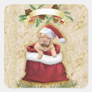 Cute Puppy in a bag with Christmas toys Square Sticker