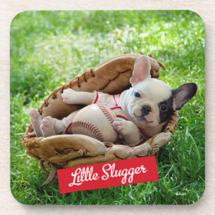 Cute Puppy in a Baseball Mitt Coaster