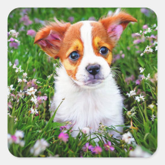 Cute Puppy in field of flowers Square Sticker