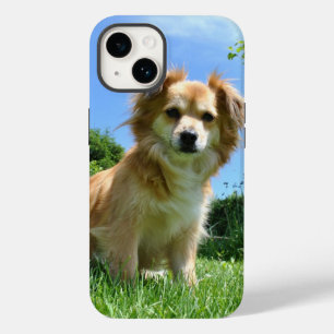 Cute Puppy in Garden Photo Case-Mate iPhone 14 Case