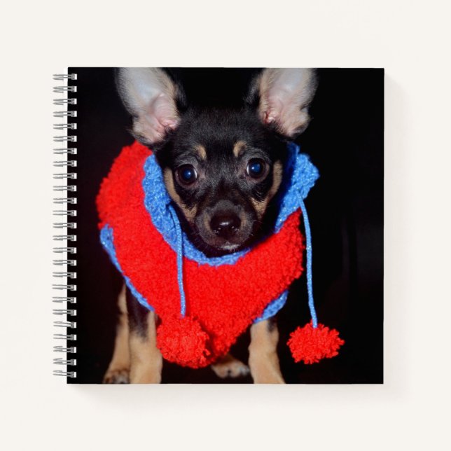 Cute Puppy in Red Wool Sweater Notebook (Front)