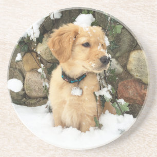 Cute Puppy lab retriever Coaster