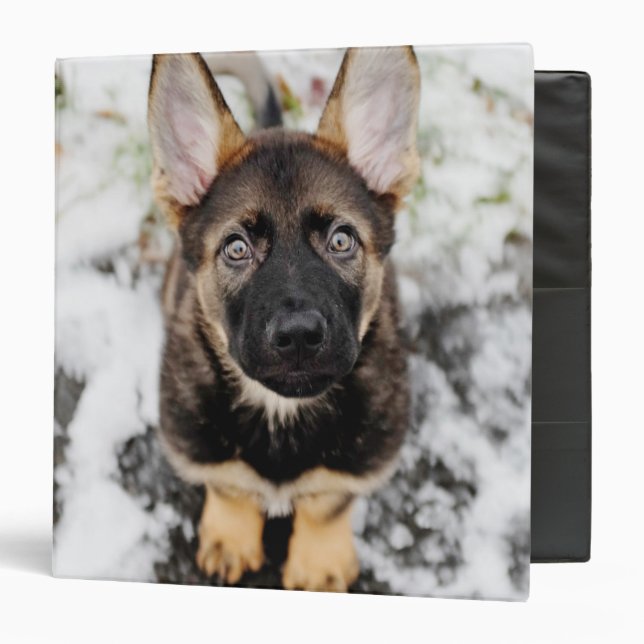 Cute Puppy Looking Up Binder (Front/Inside)
